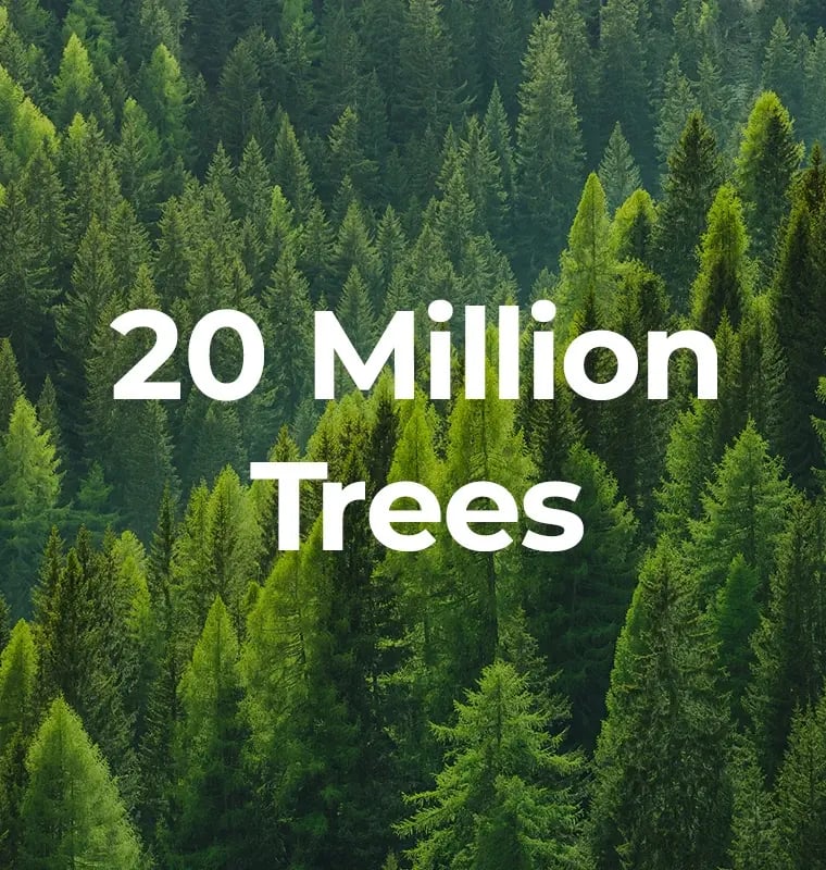 14-Milestone-20m Trees