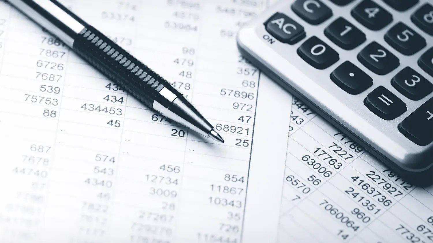 Budget-Manager