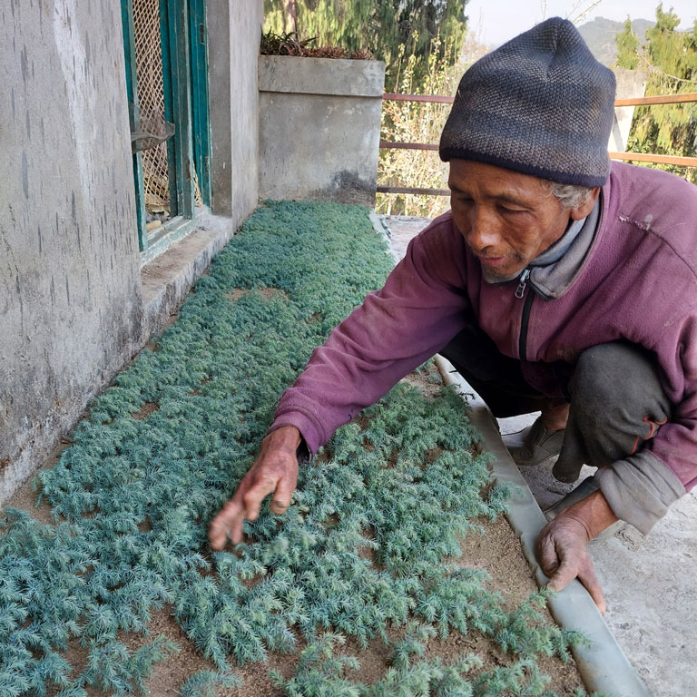 nepal-hero